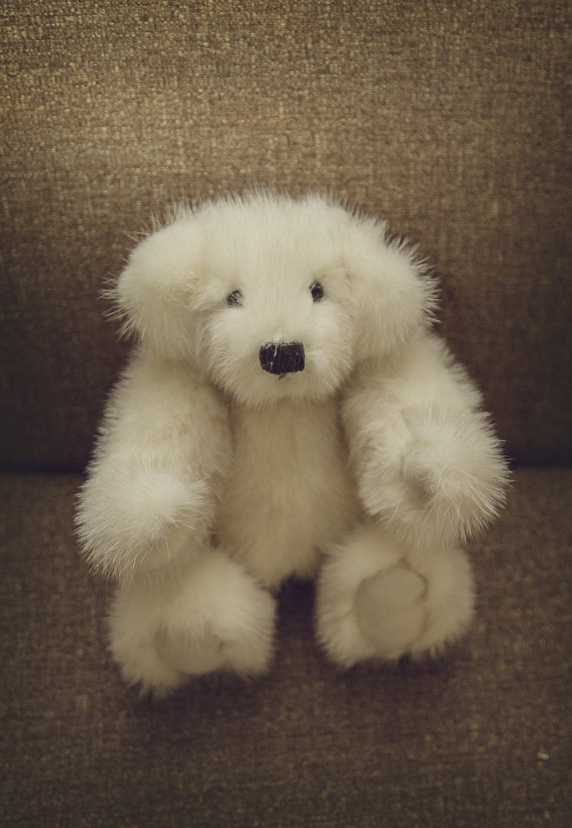 mink teddy bears for sale